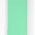 MORSO HONDENRIEM WATERPROOF GERECYCLED CARRIBEAN GREEN GROEN