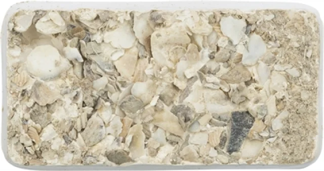 TRIXIE PIKSTEEN MET SCHELPEN MINERALEN EN MOSSELEN