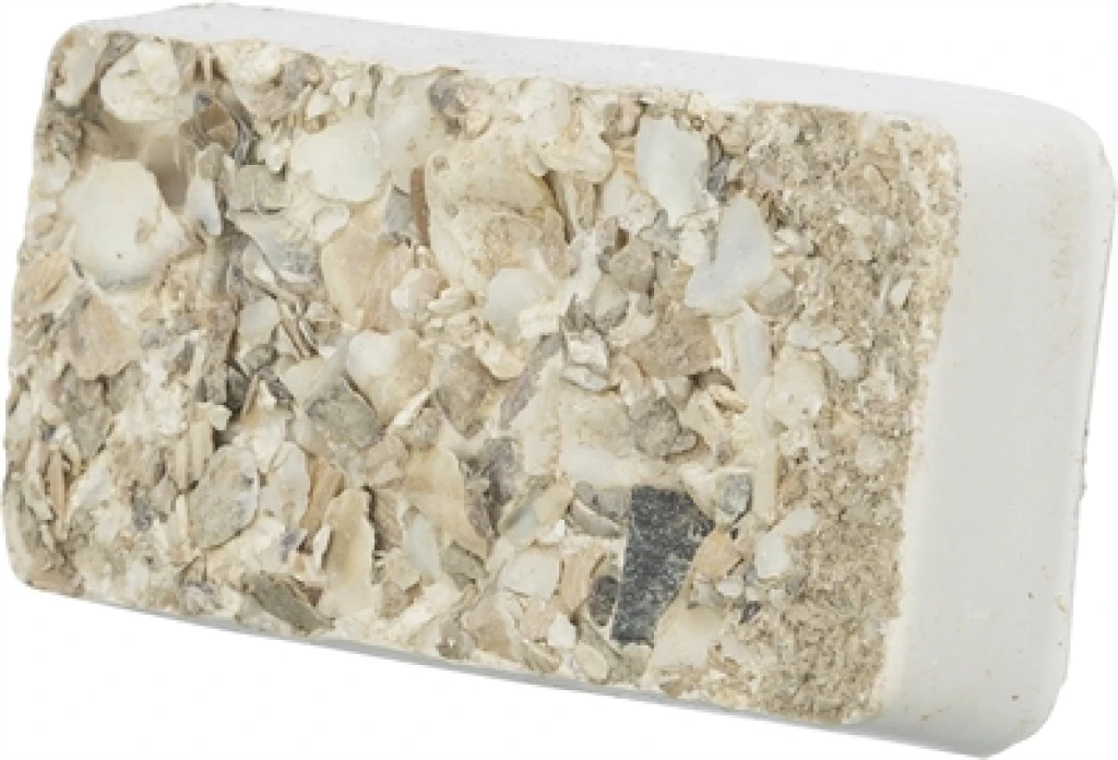 Piksteen met schelpen, mineralen en mosselen 30 g