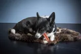 HENART YAK KAAS MET AARDBEISMAAK