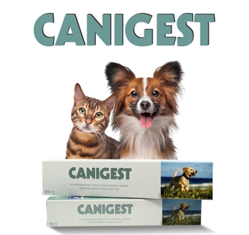 Voedingssupplement Pasta voor Honden en Katten 30 ml