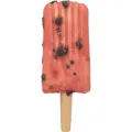 TRIXIE Ice Pop Rood Hondensnack - 1 stuk