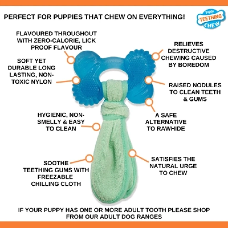 Nylabone Puppy Freezer Bone Kauwspeelgoed Pindakaas - 1 stuk