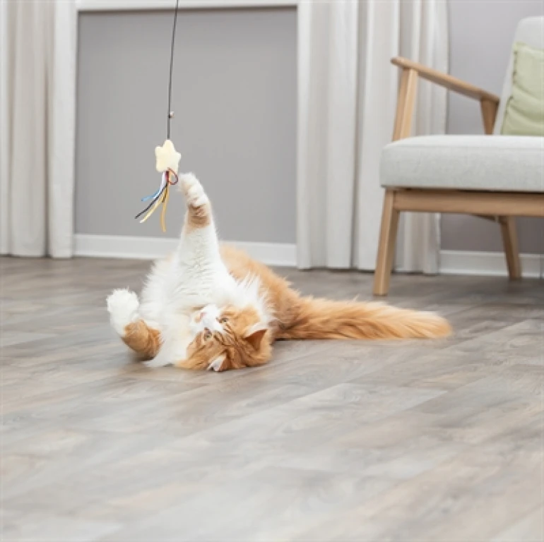 TRIXIE Kattenhengel met Pluche Ster en Catnip - 1 stuk