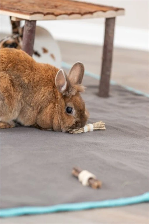 Trixie Knaagspeelgoed Sticks met Luffa, Schorshout en Zeegras - set van 2