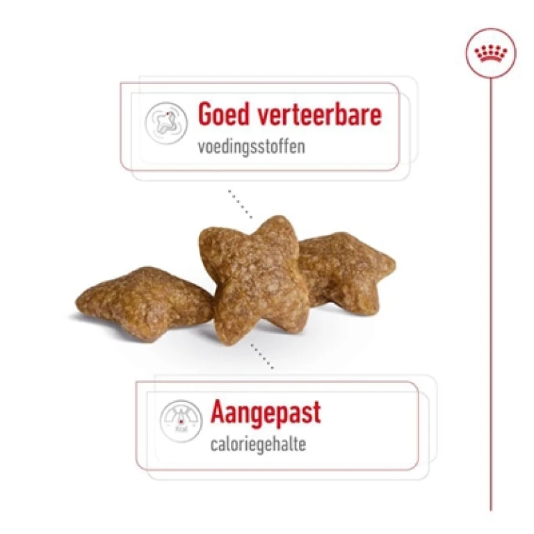 Royal Canin Hond Droogvoer Volwassen Mini 2 kg
