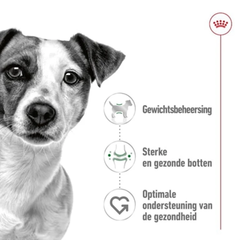 Royal Canin Hond Droogvoer Volwassen Mini 2 kg