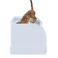IMAC KATTENBAK FRIDA MET LADE LICHTBLAUW