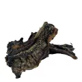 PETSNACK BUFFELKUS