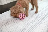 JW HOL-EE ROLLER TREND-EE ROZE