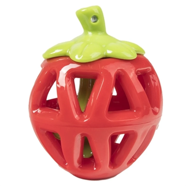 Hondensnack dispenser Aardbei 1 stuk