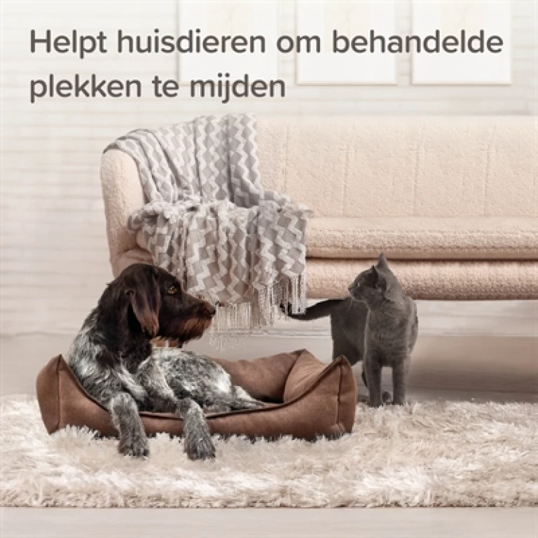 Beaphar Keep Off Spray Indoor voor Kat en Hond - 1 stuk