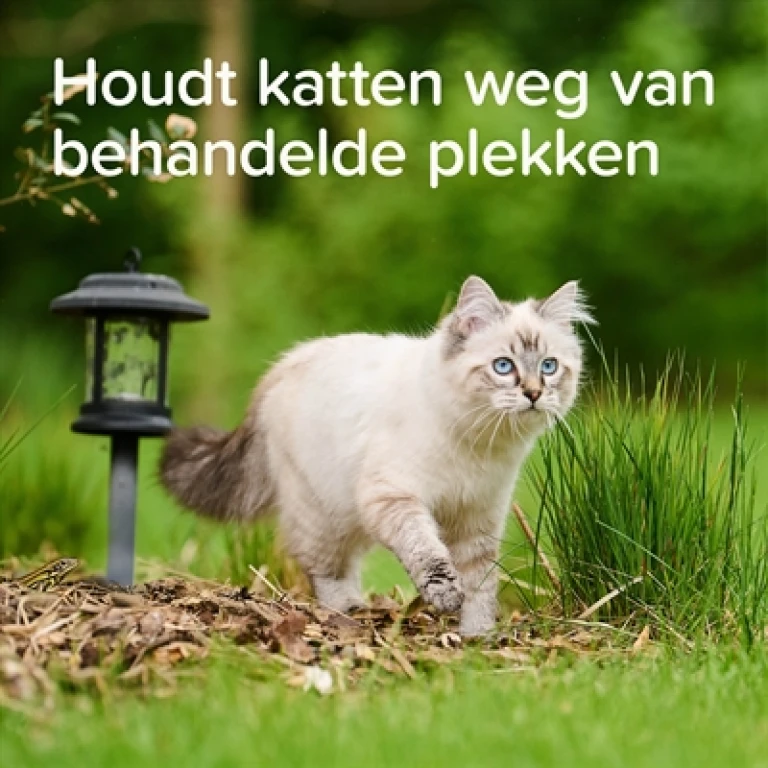 Kattenafschrikkingsspray Outdoor 500 ml 1 stuk
