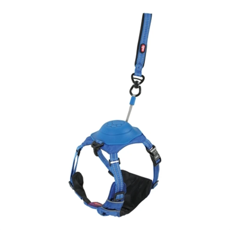 Hondentuigje Blauw - 1 stuk