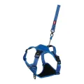 ZOLUX EASYRIDE HONDENTUIG BLAUW