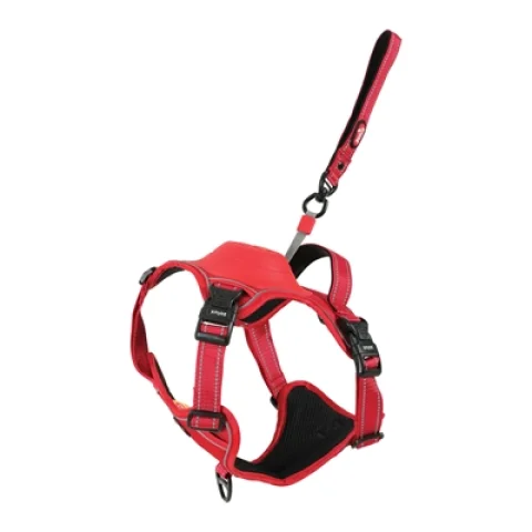 ZOLUX EASYRIDE HONDENTUIG ROOD