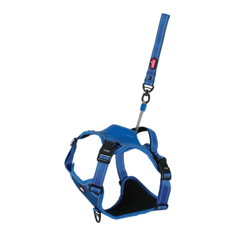 Hondentuigje Blauw (L)