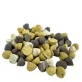 DOG TREATZ JACK JACKER ROLLIES MIX