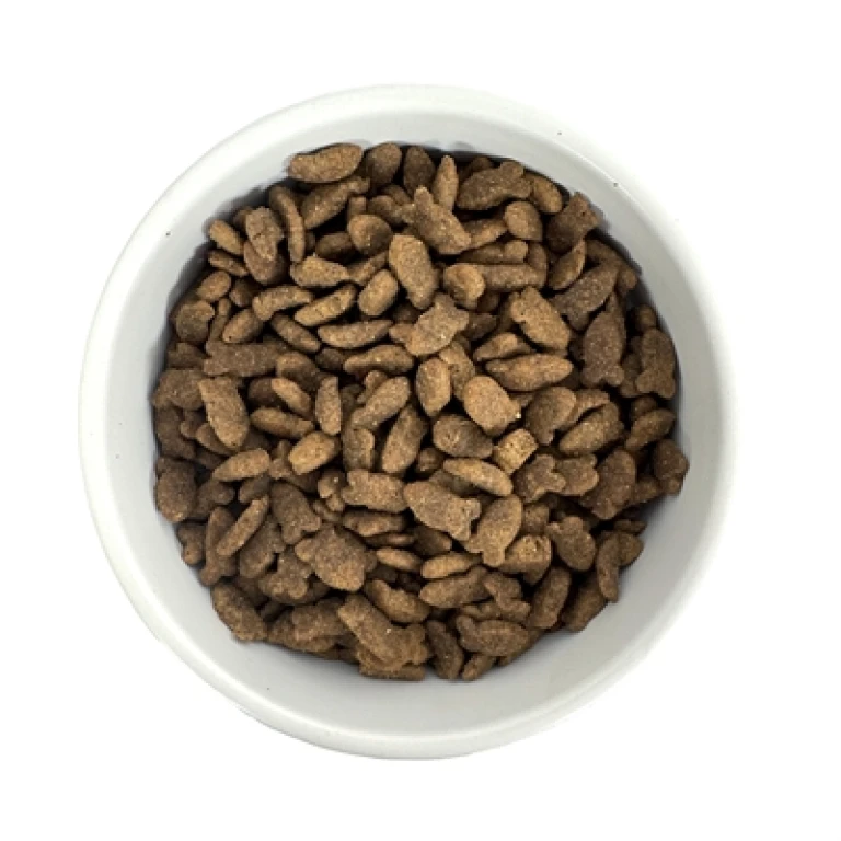 Budget Premium Quality Fish Kat Droogvoer - 1 stuk (1 kg)