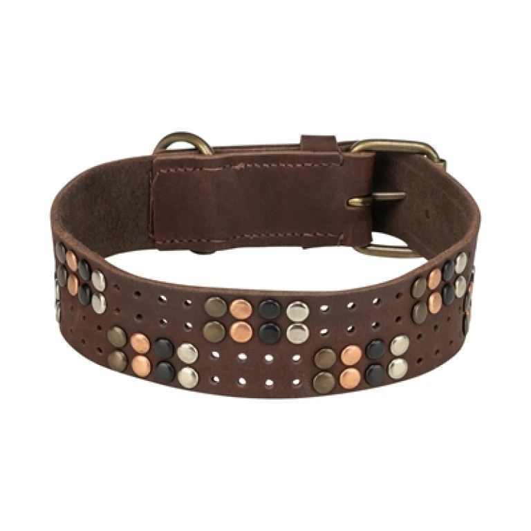 TRIXIE Hondenhalsband Rivet Rustic Vetleer Donkerbruin S-M
