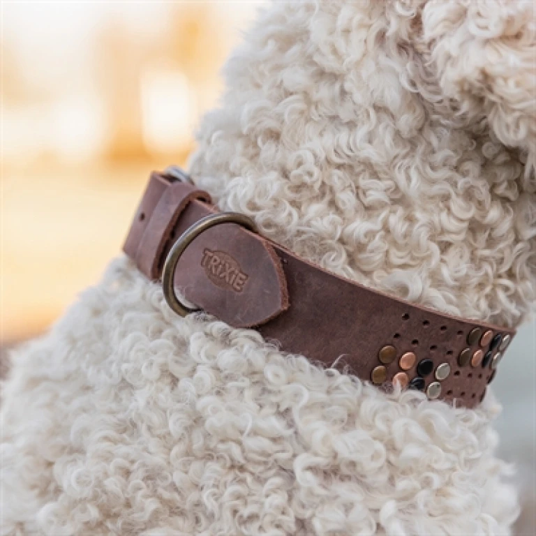 Trixie Hondenhalsband Rivet Rustic Vetleer Donkerbruin Maat L