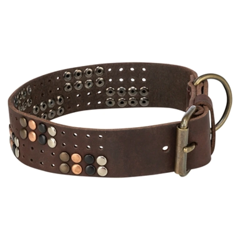 Trixie Rivet Rustic Hondenhalsband Vetleer Donkerbruin XL - 1 stuk