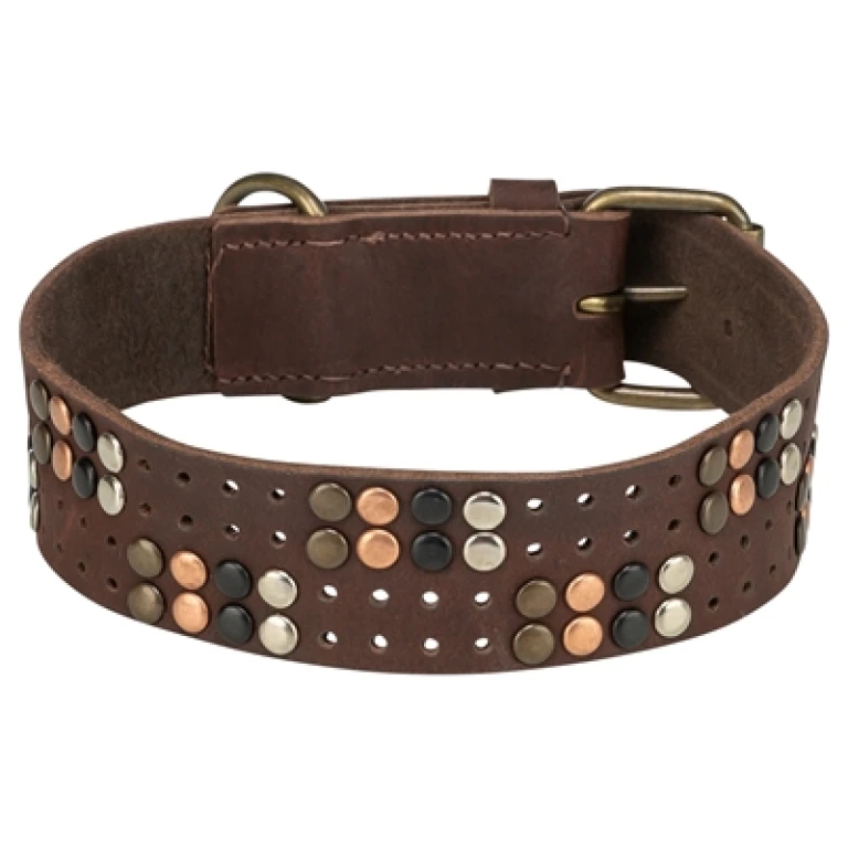 Trixie Rivet Rustic Hondenhalsband Vetleer Donkerbruin XL - 1 stuk