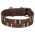 TRIXIE HALSBAND HOND RIVET RUSTIC VETLEER DONKERBRUIN