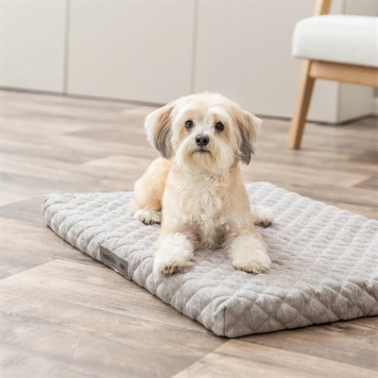 TRIXIE Orthopedisch Hondenkussen Noah Vital Lichtgrijs - 75x55 cm