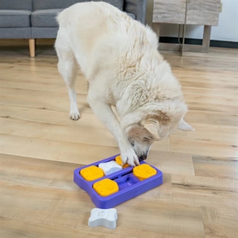 Nina Ottosson Dog Brick Intelligentiespel Paars - 1 stuk