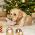 TRIXIE RENDIER MET GELUID PLUCHE