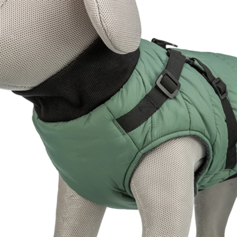 TRIXIE Hondenjas Pontis met Tuig - Saliegroen - 1 stuk - 30 cm