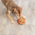 TRIXIE DENTA FUN PRETZELS EEND