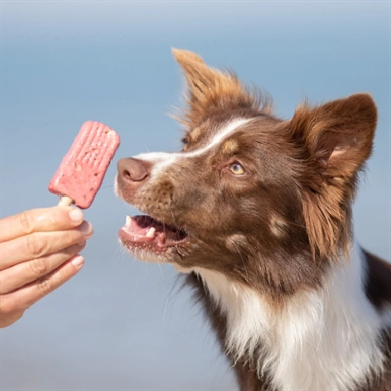 TRIXIE Ice Pop Rood Hondensnack - 1 stuk