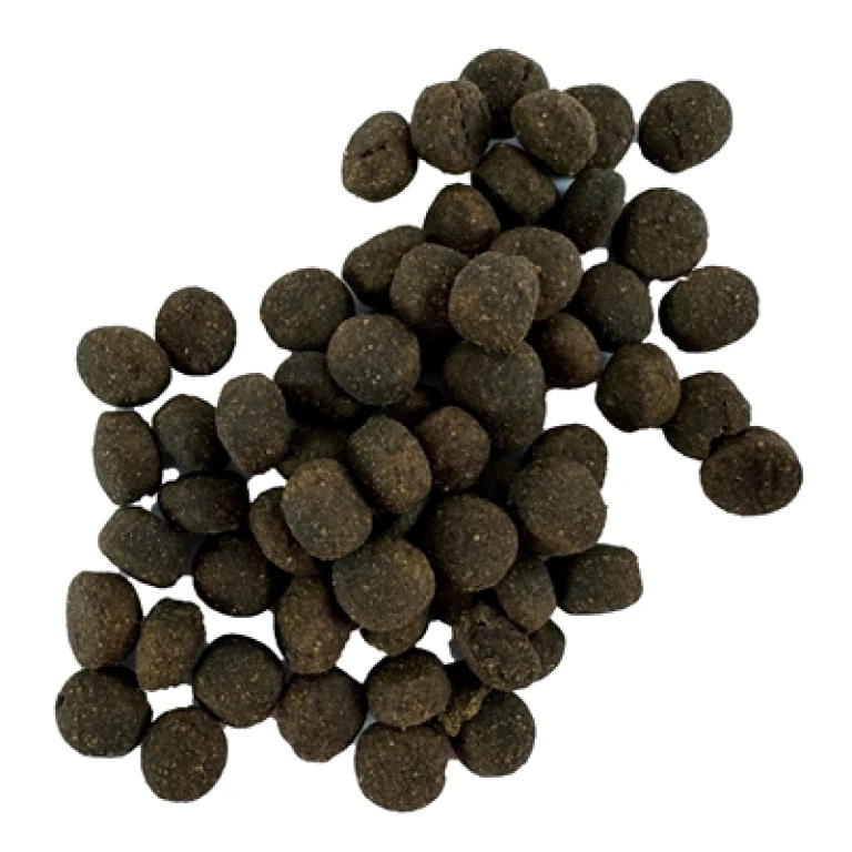 I AM Lam Knikkers hondensnacks - 1 stuk (300 gr)