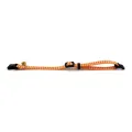 HAPPY PET TABBY PATCH HALSBAND KAT RUIT ORANJE