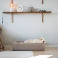 BIA BED PREMIUM HOES TEDDY BEIGE