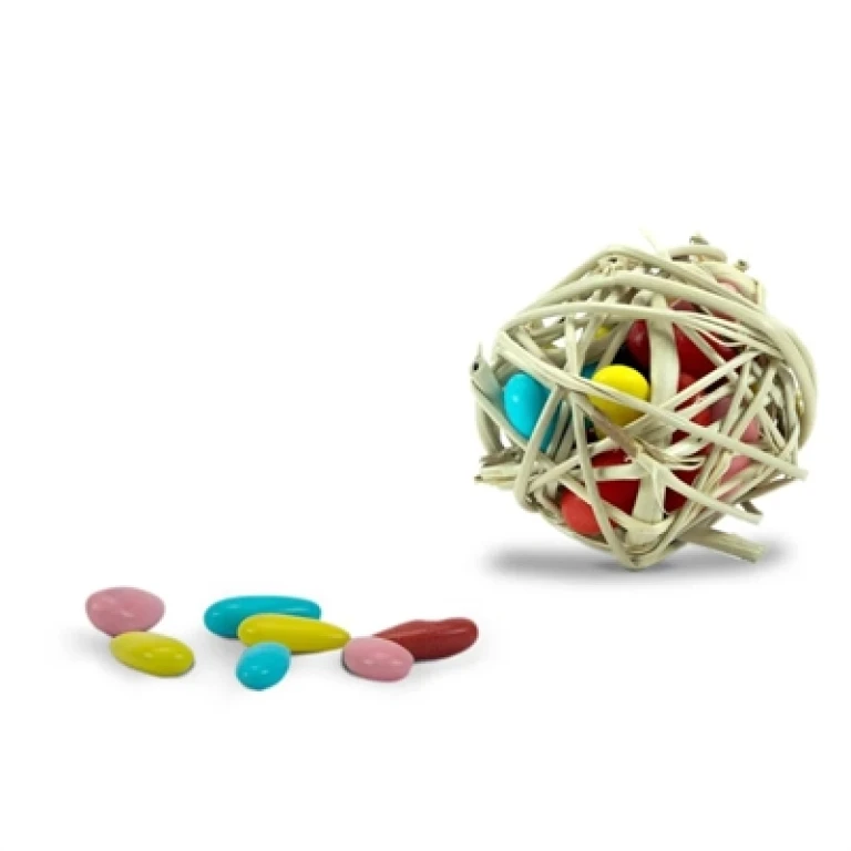 BACK ZOO NATURE Treat Balls Foerageerspeelgoed set van 6