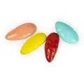 BACK ZOO NATURE PARROT SUNFLOWER SEED TREATS