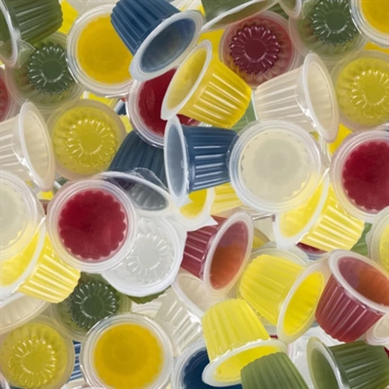 BACK ZOO NATURE FRUITCUP MIX ASSORTI