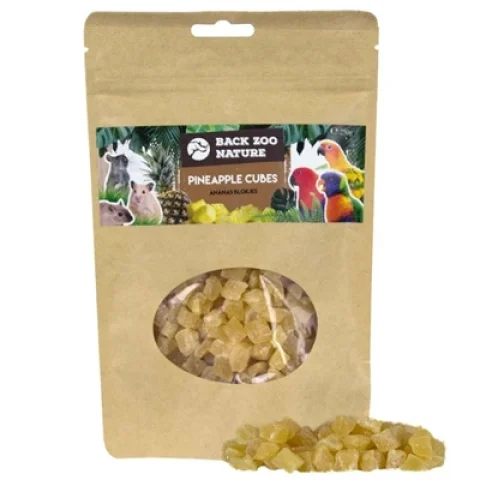 BACK ZOO NATURE ANANAS CUBES