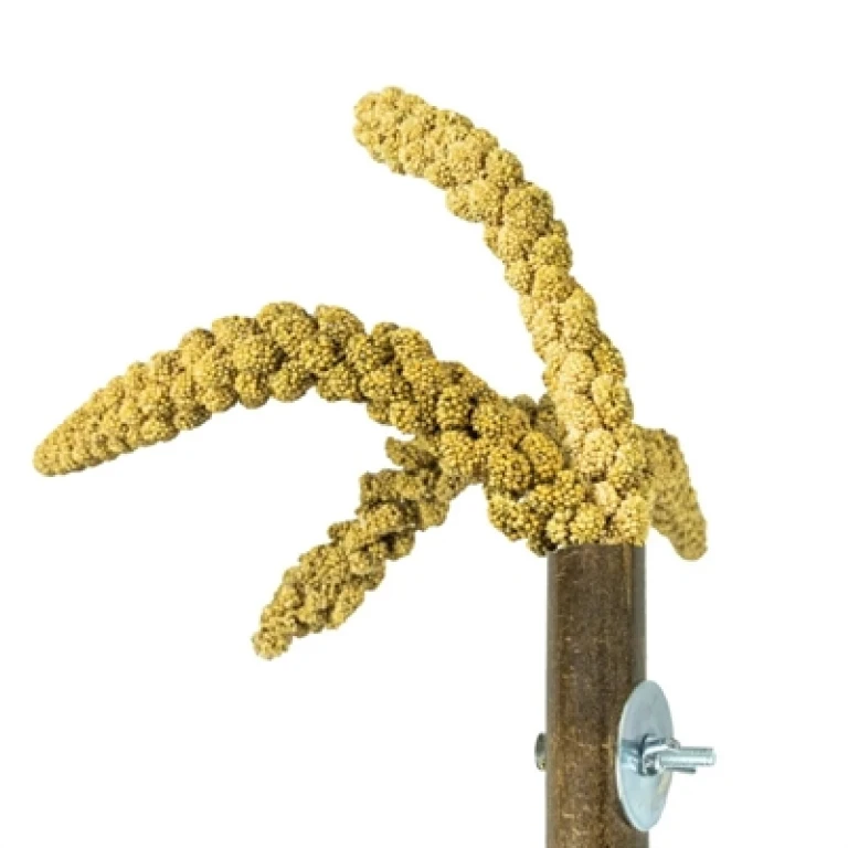 BACK ZOO NATURE Grass Keeper vogelvoederhouder, 20x3 cm - 1 stuk