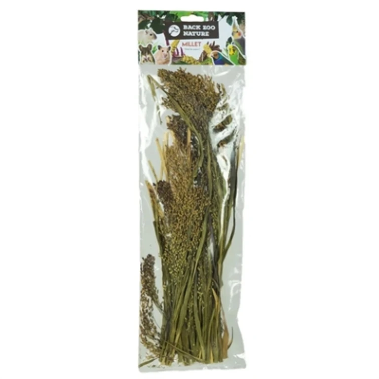 BACK ZOO NATURE Vogel Buitenvoer Panicum 1 stuk