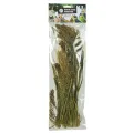 BACK ZOO NATURE MILLET PANICUM