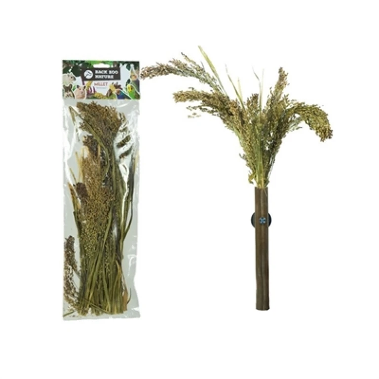BACK ZOO NATURE Vogel Buitenvoer Panicum 1 stuk