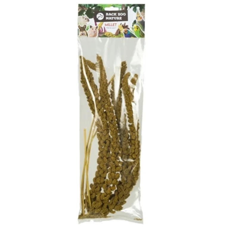 Back Zoo Nature Vogel Buitenvoer Franse Trosgierst Geel 1 stuk