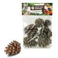 BACK ZOO NATURE Vogel Snacks Dennenappels set van 6