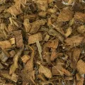 BACK ZOO NATURE DISCOVERY BEDDING