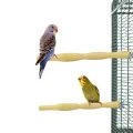 BACK ZOO NATURE WOOD PERCH