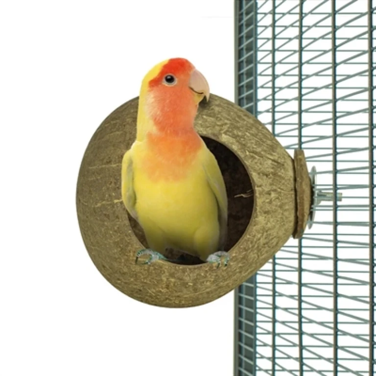 BACK ZOO NATURE Kokosnoot Huisje Natuurlijk 9,5 cm - 1 stuk